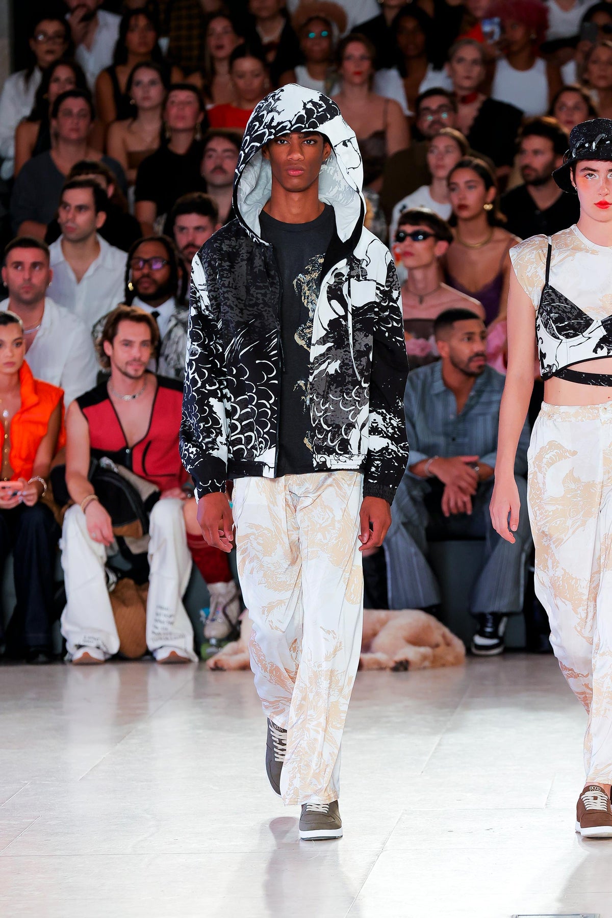 Printed Dragon Bomber